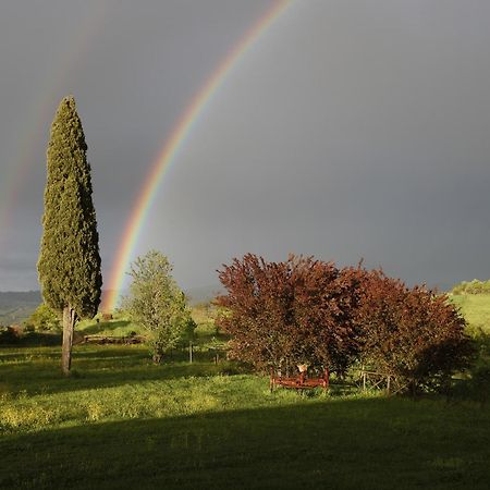 Agriturismo Spazzavento Palazzone Dış mekan fotoğraf