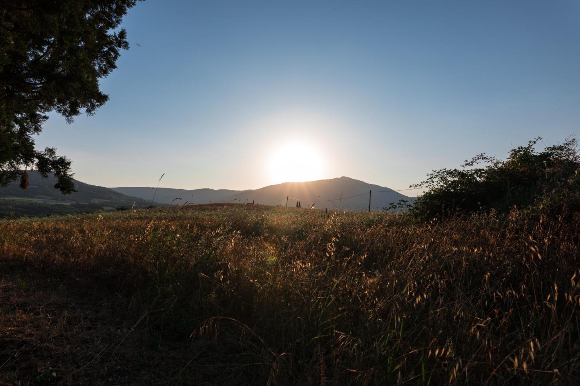 Agriturismo Spazzavento Palazzone Dış mekan fotoğraf