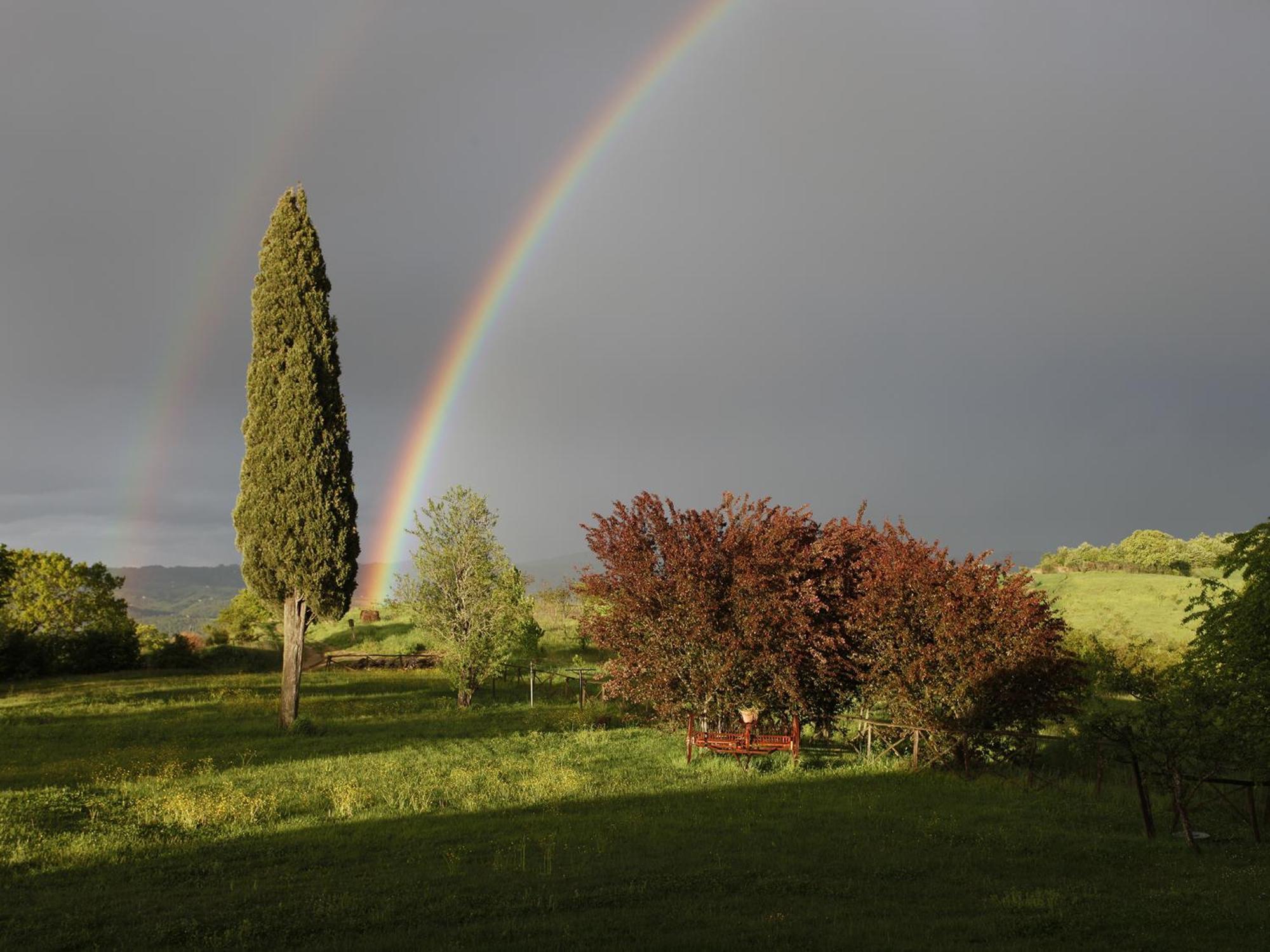 Agriturismo Spazzavento Palazzone Dış mekan fotoğraf